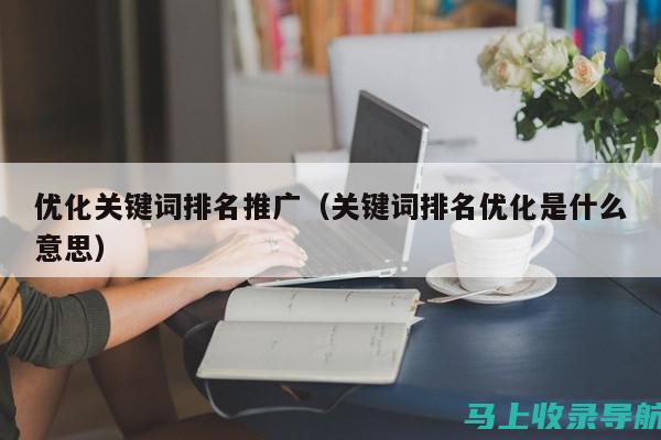 关键词优化利器：揭秘SEO站长工具的神秘面纱